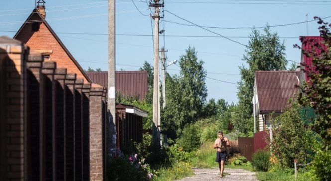Росреестр запустил бот для дачников